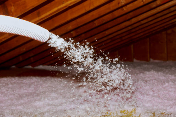 Best Specialized Insulation Services in Bowling Green, FL